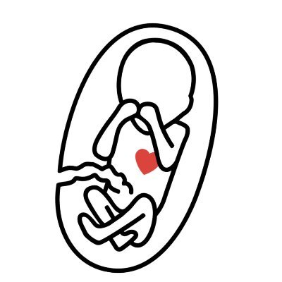 SPUC Pro-Life's profile picture
