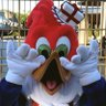 Profilbild von このはな咲くや USJ