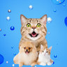 animal friends❤️ Memecoin 的头像
