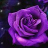 Фото профиля abdullah