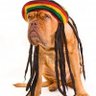 Jim Bob profil fotoฤrafฤฑ
