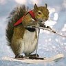 jwindholz's profile picture