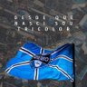 🇧🇼Tricolor da serra 🇧🇼's profile picture