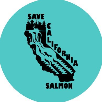 Save California Salmon's profile picture