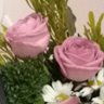 شمس🌷🇴🇲's profile picture