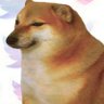Profilbild von Jhonny
