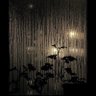 Фото профиля stronglovelastsforever101