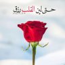 Profilbild von حلم🥀
