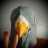 🐦Pigeon Engagé +💯 🍓 #DuFricPourLecolePublique's profile picture