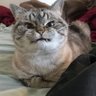 Stelaki 的头像