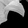 The Kabeela Voice 𝕏 profil fotoğrafı