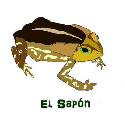 El Sapón's profile picture
