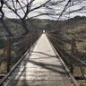 Profilbild von 跳跳虎