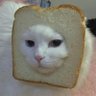 ñyaruto XD's profile picture