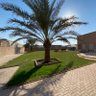 Фото профиля Jassim Alhajji
