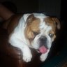 harrod12's profile picture
