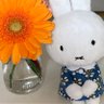 うさびん profil fotoğrafı