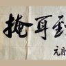 木下狂人Francis profil fotoğrafı