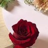 Фото профиля Star