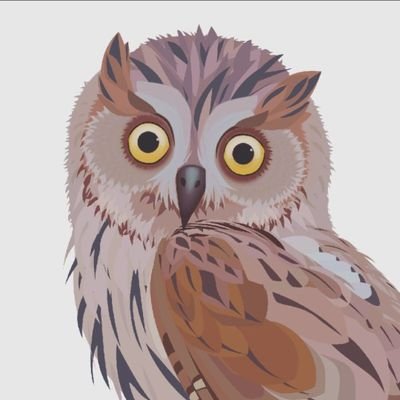 Akira SAWADA's profile picture