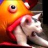 gıgıgıgıg's profile picture