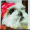 あっちゃん2022 profil fotoğrafı