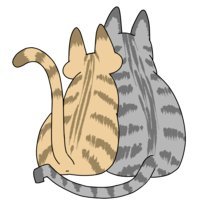 なご's profile picture