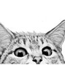 Profilbild von Jerem P