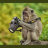 Mr. monky profil fotoğrafı