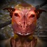 Profilbild von city swimmer