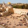 שלום's profile picture