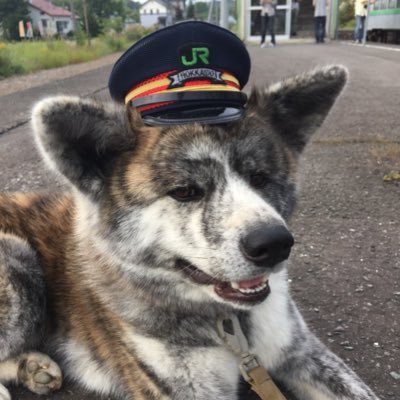 kitsunekita0121's profile picture