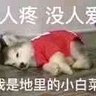 Profilbild von 华夏的旅程