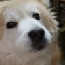 poil2nd's profile picture