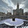 مصطفي حداد 的头像