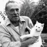 Фото профиля Chinaski