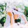 🕊️✨ 的头像