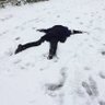 ちーろろろろろ 的头像