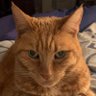 Jerri Busby's profile picture