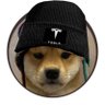 ĐOGEARMY GENERAL's profile picture
