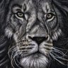 Isimi Taiwo's profile picture