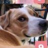 @El_Barry profil fotoğrafı