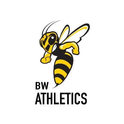 Baldwin Wallace Athletics's profile picture