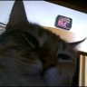 Dredd's profile picture