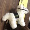 🏇うまゆき🏇 的头像