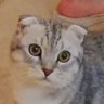 Profilbild von zurc