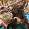Diabetic Veterinarian profil fotoğrafı