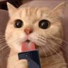 NoobMaster's profile picture