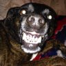 Johnny Blondin's profile picture