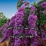 زاهر 的头像
